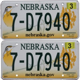 Nebraska 7D7940 - Ear of...
